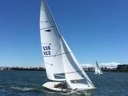 Sail 538