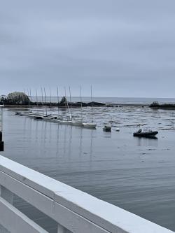 IMG_5051